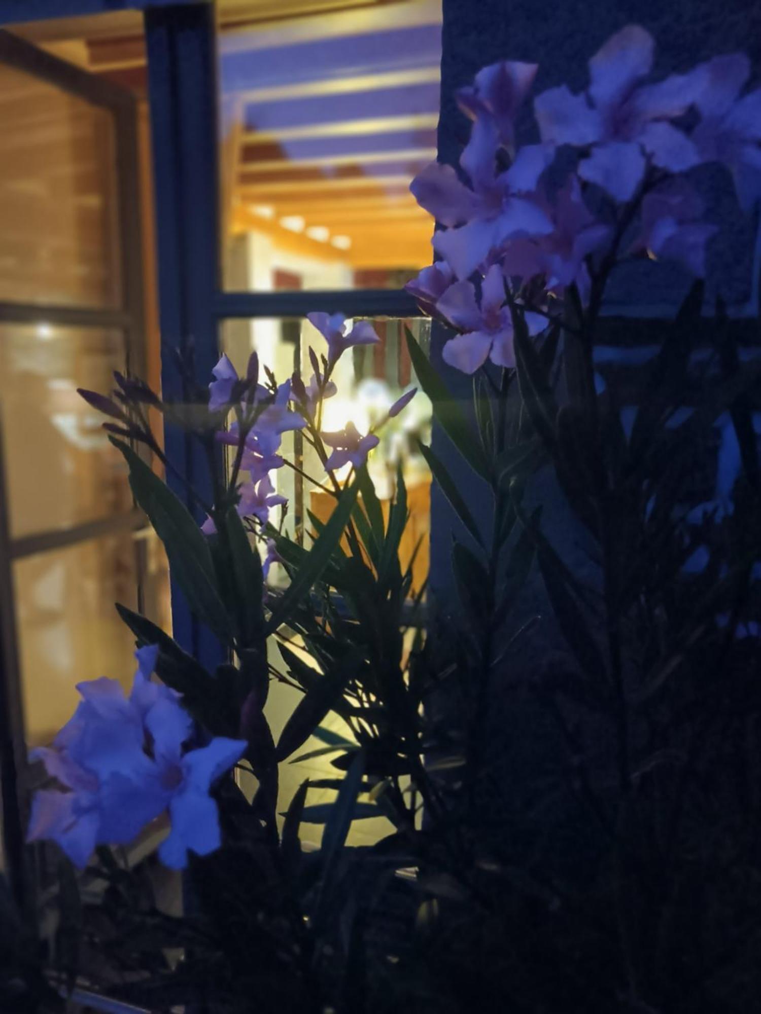 Le Val Daniniere B&B Adult Only Le Mesnil-Garnier Exterior foto